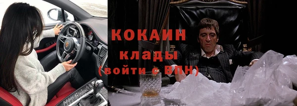 спиды Вяземский