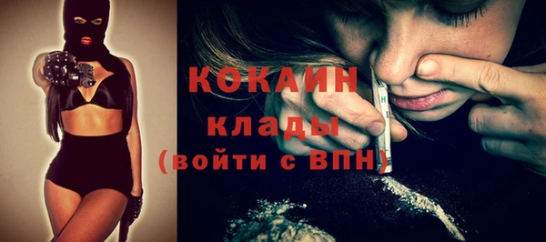 спиды Вяземский