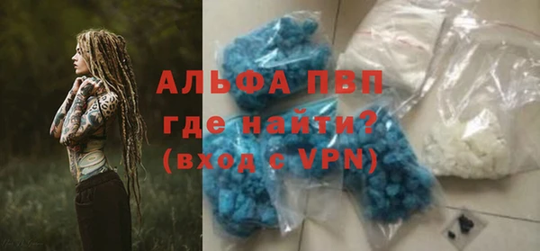 спиды Вяземский