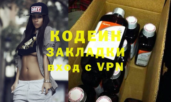 спиды Вяземский