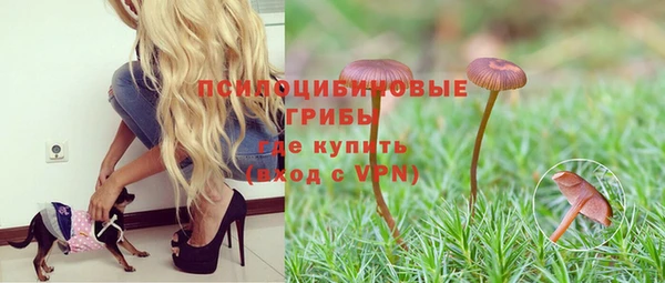 трава Вязники
