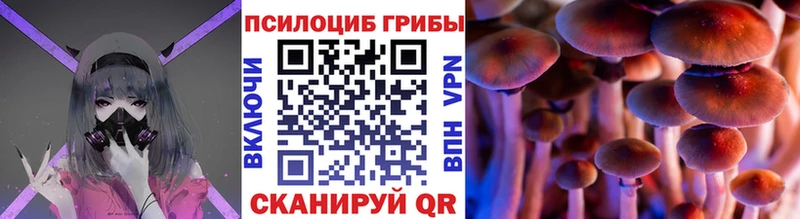 Купить  Каменск-Шахтинский  Псилоцибиновые грибы мицелий 